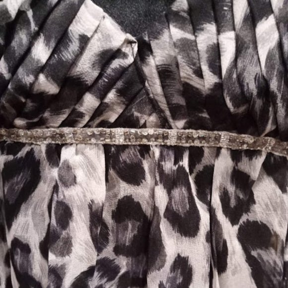 Leopard Print Dress - Picture 2 of 4